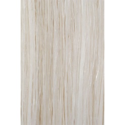 Volume Top Normal - Color #GM3
