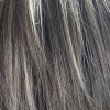 Hi Filler Music - Image 12