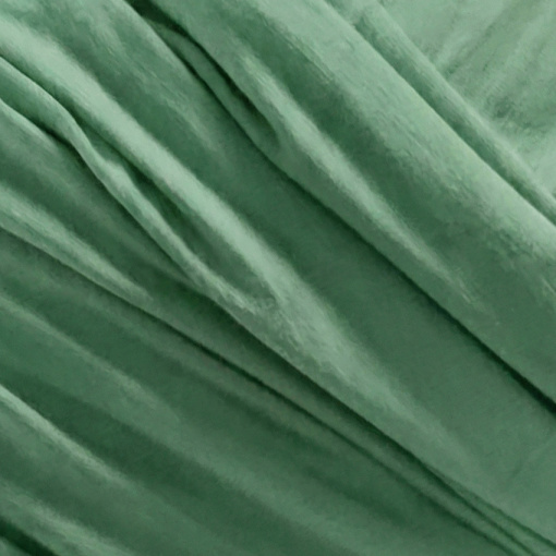 Cora - Image 5